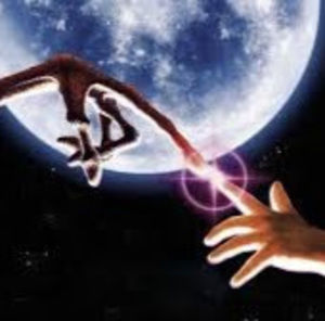 Meet your Posher, Josephine